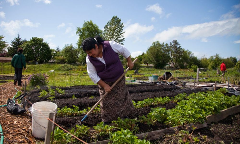 mujer campesina