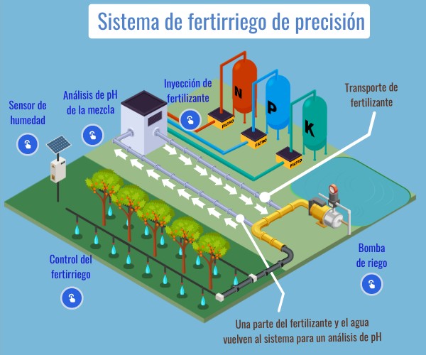 Fertirrigación (3-2-5)