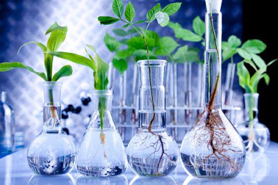 Bioquímica de Alimentos II 4 "AL"